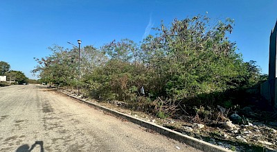 Lote en Hacienda Cholul, mod. D