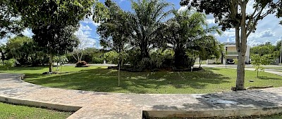 Lote en La Rejoyada, mod. 99