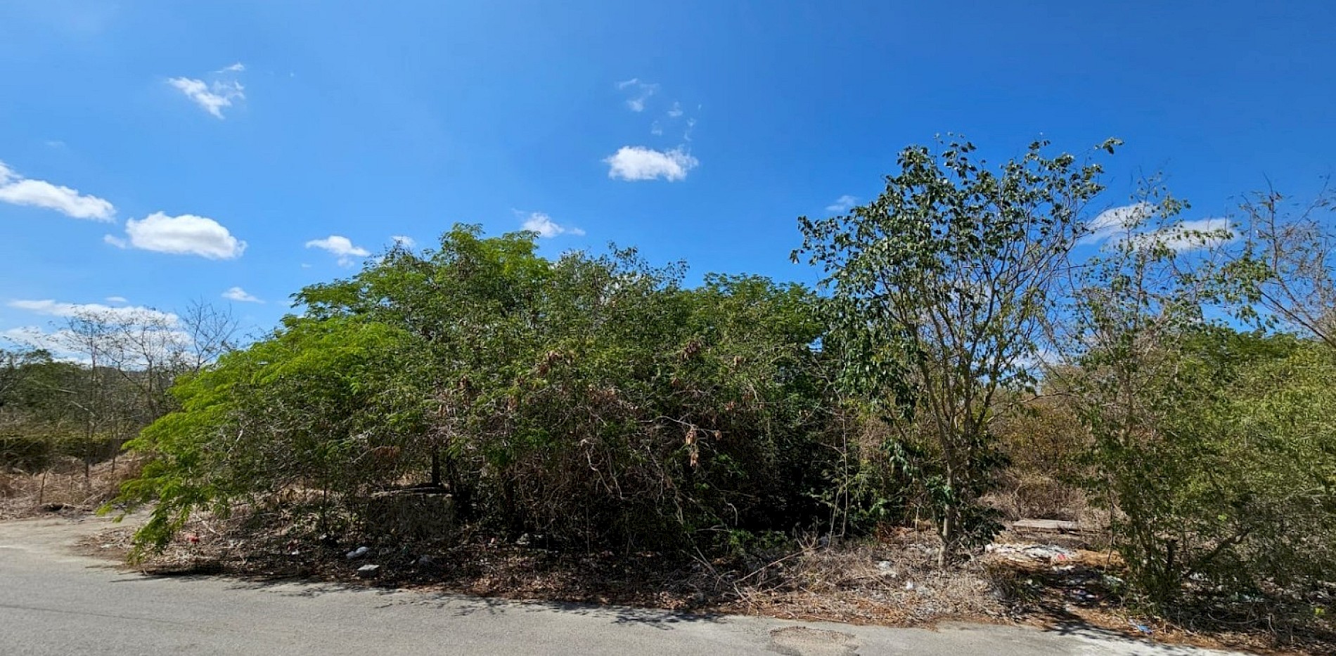 Lote en Dzityá, mod. A