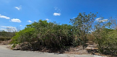 Lote en Dzityá, mod. A