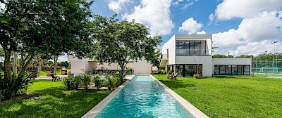 Lote en Zendera, mod. 195