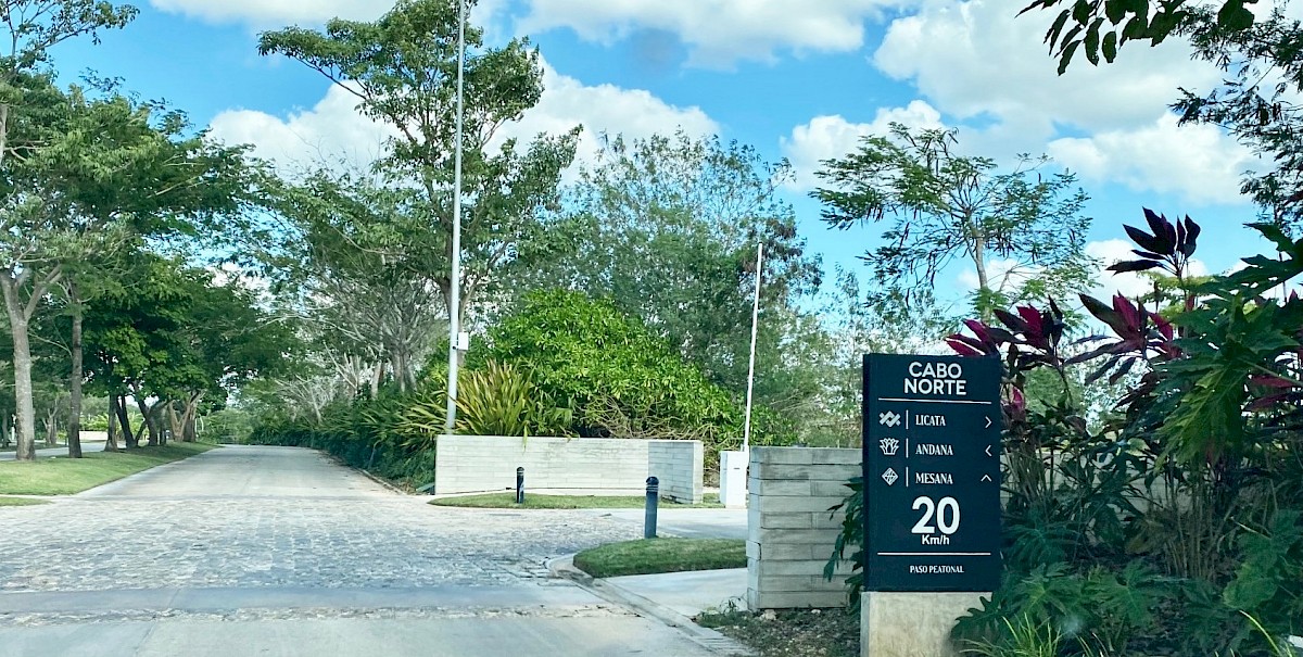 LICATA | Cabo Norte preventa de lotes