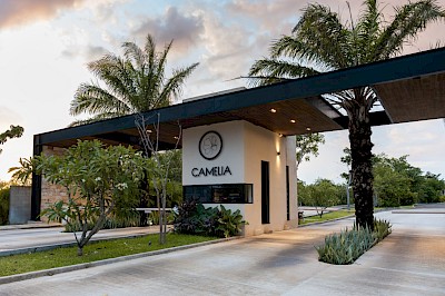 Lotes en Camelia