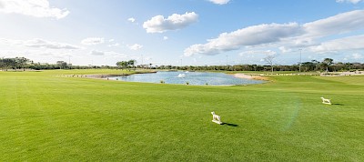 Lote en Privada Provincia, mod. E